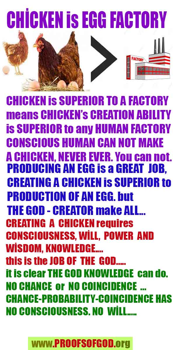  god is real, god exists here proofs, god's proofs, proofs of god, evidences of god, proofs-god, evidences-god, signs-god