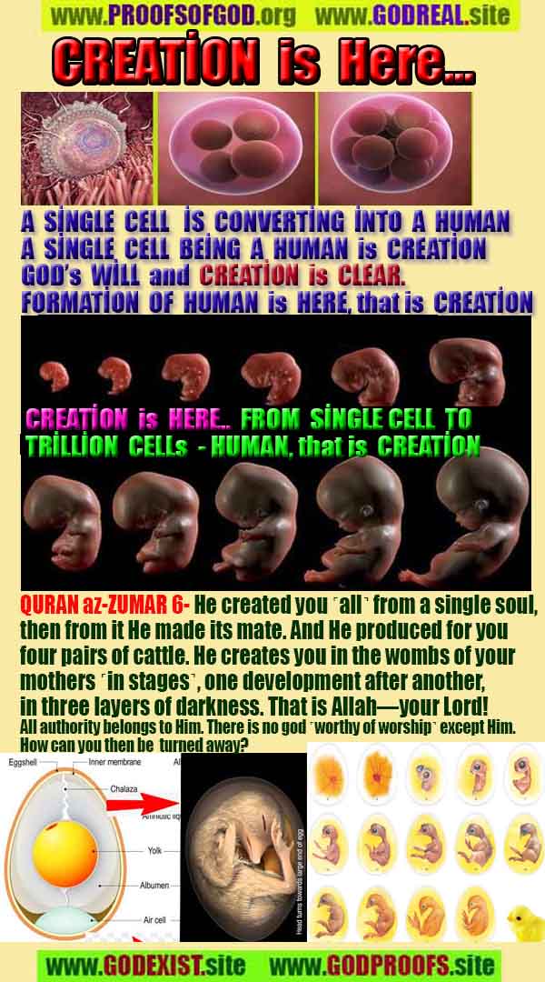 god is real, god exists here proofs, god's proofs, proofs of god, evidences of god, proofs-god, evidences-god, signs-god 